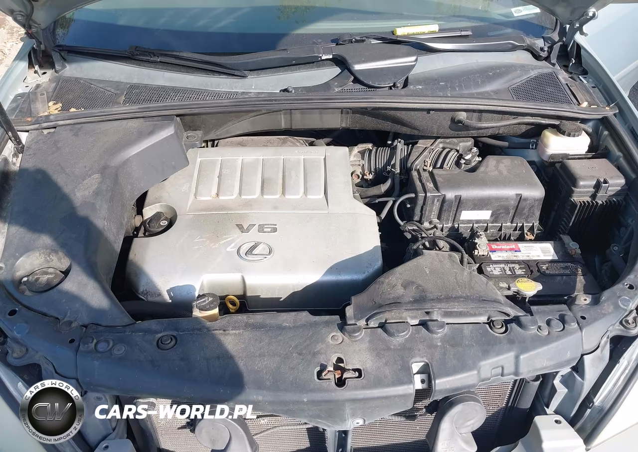 2009 Lexus Rx 350 VIN:2T2HK31U79C099852 - 10
