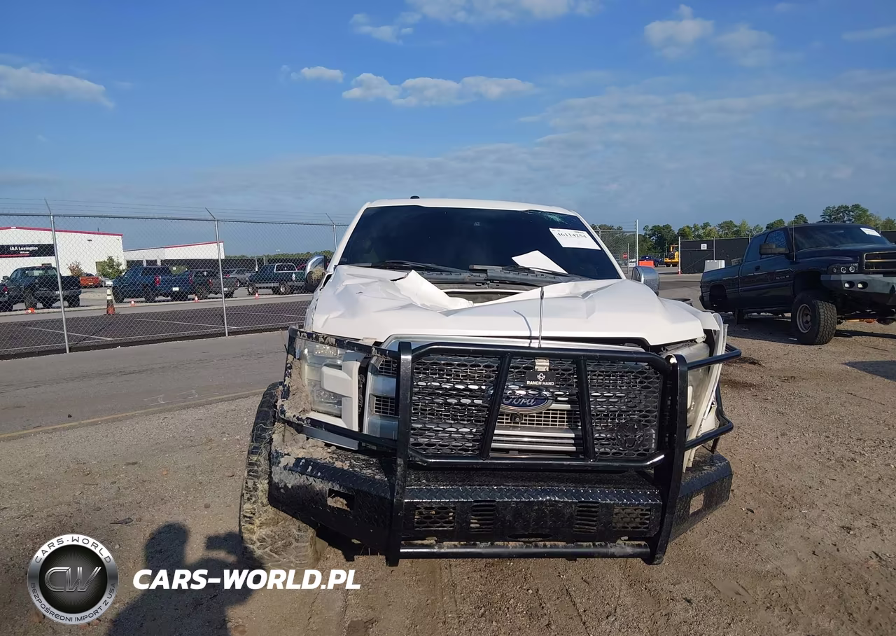 2015 Ford F-150 Platinum VIN:1FTEW1EG5FFC11068 - 12