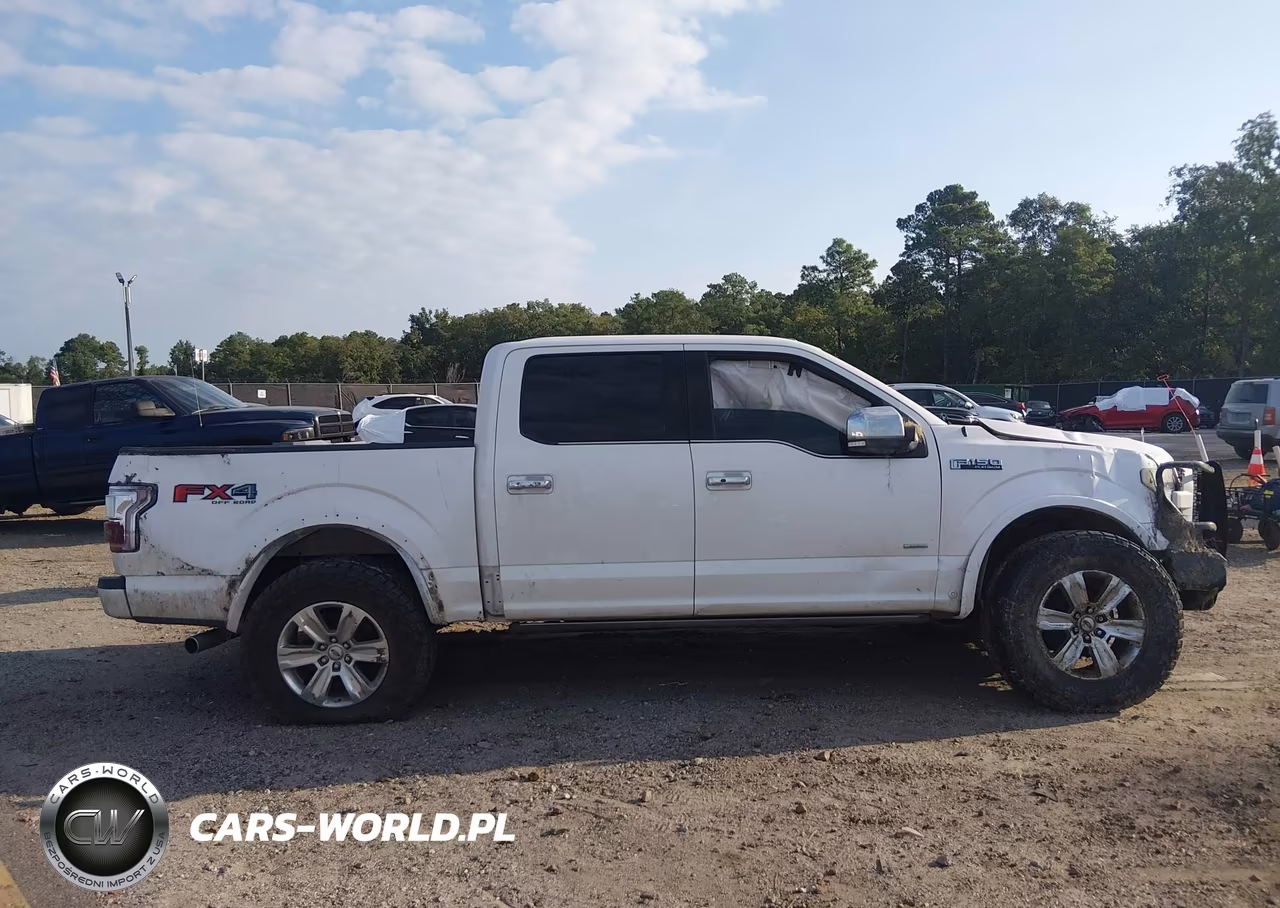 2015 Ford F-150 Platinum VIN:1FTEW1EG5FFC11068 - 13