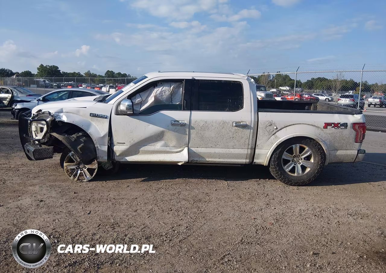 2015 Ford F-150 Platinum VIN:1FTEW1EG5FFC11068 - 14