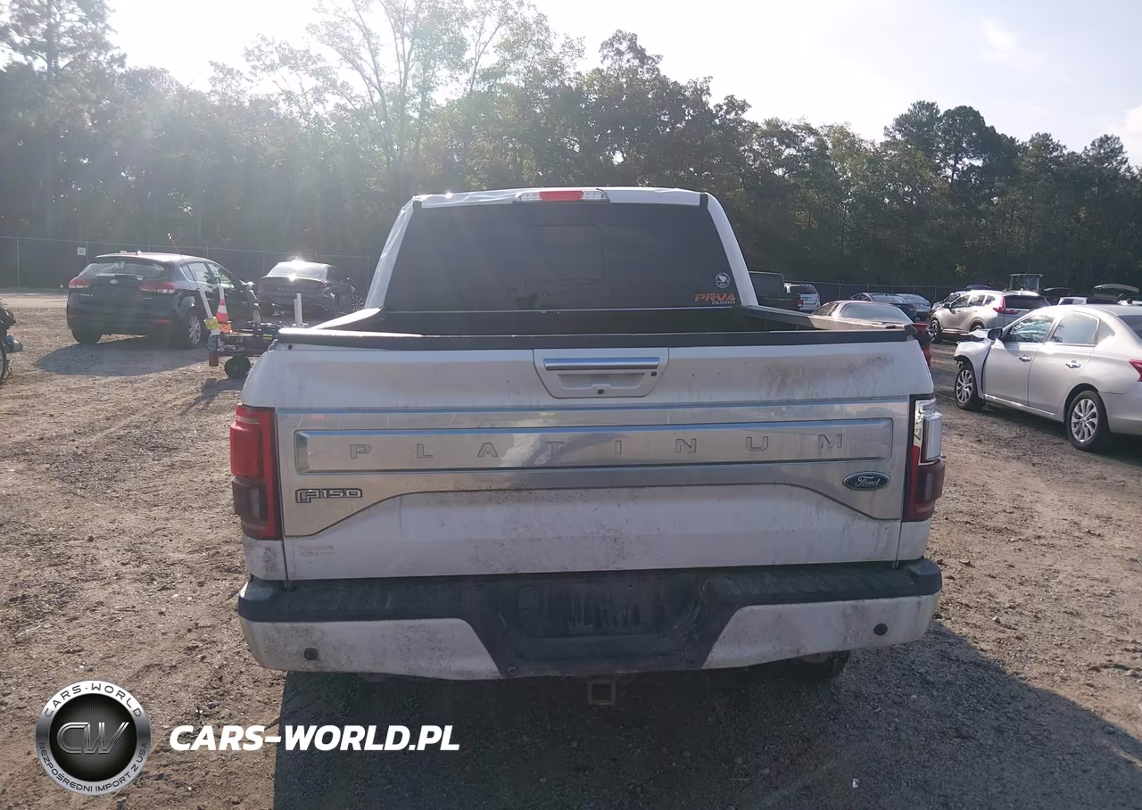 2015 Ford F-150 Platinum VIN:1FTEW1EG5FFC11068 - 16