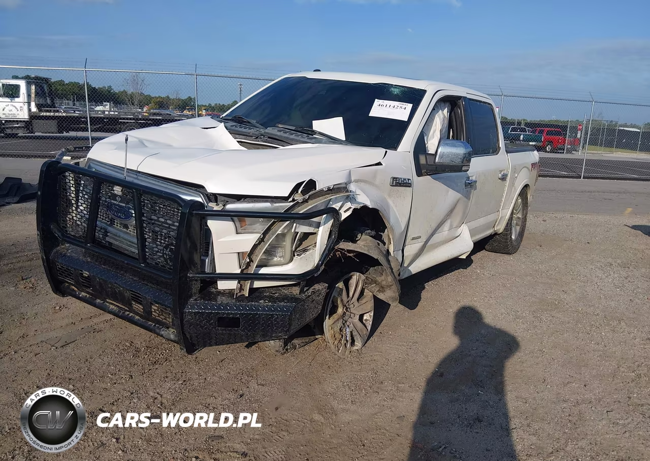 2015 Ford F-150 Platinum VIN:1FTEW1EG5FFC11068 - 2
