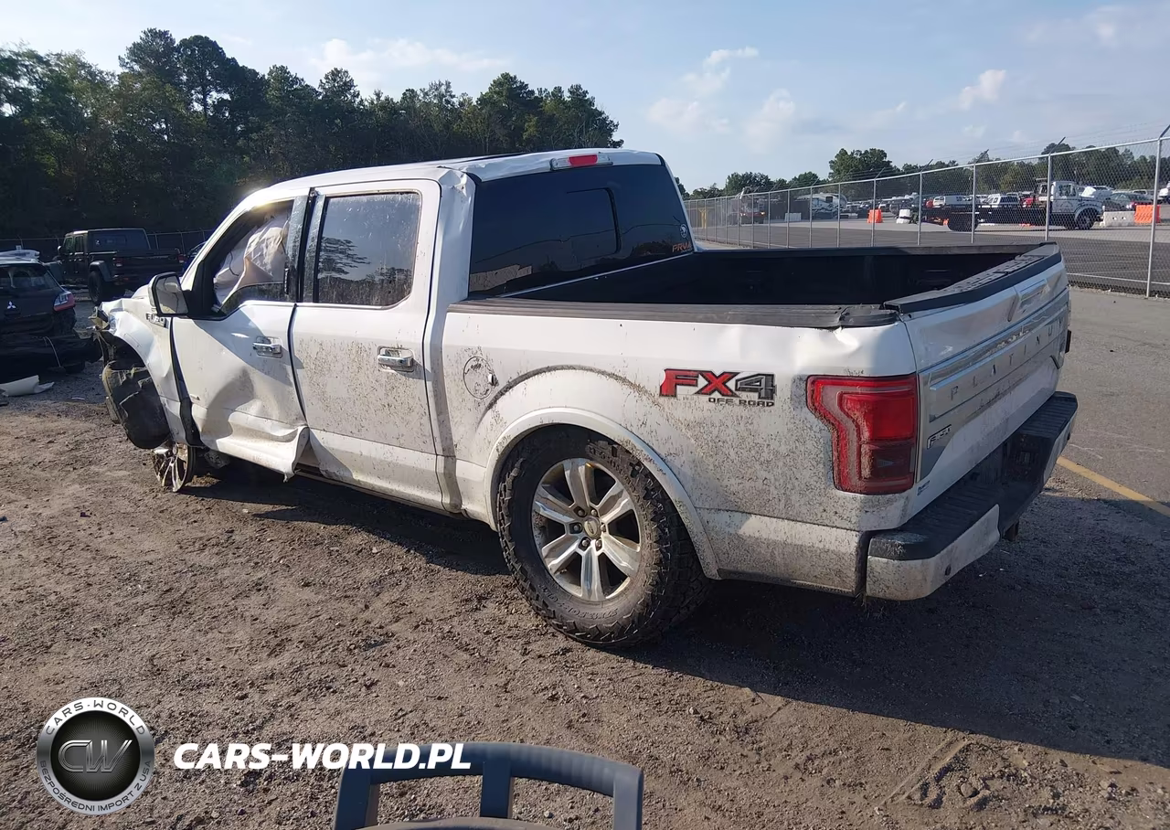 2015 Ford F-150 Platinum VIN:1FTEW1EG5FFC11068 - 3