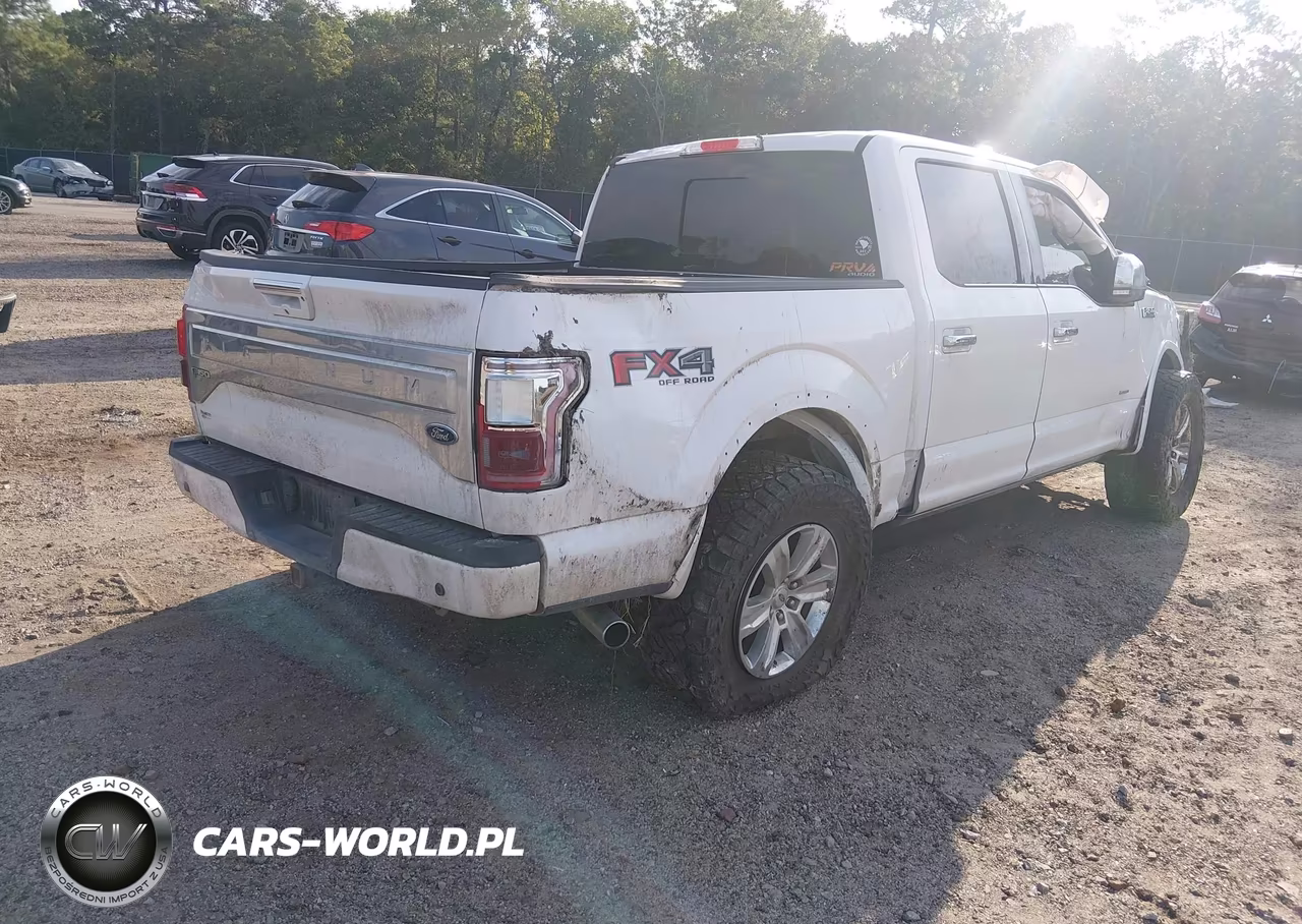2015 Ford F-150 Platinum VIN:1FTEW1EG5FFC11068 - 4