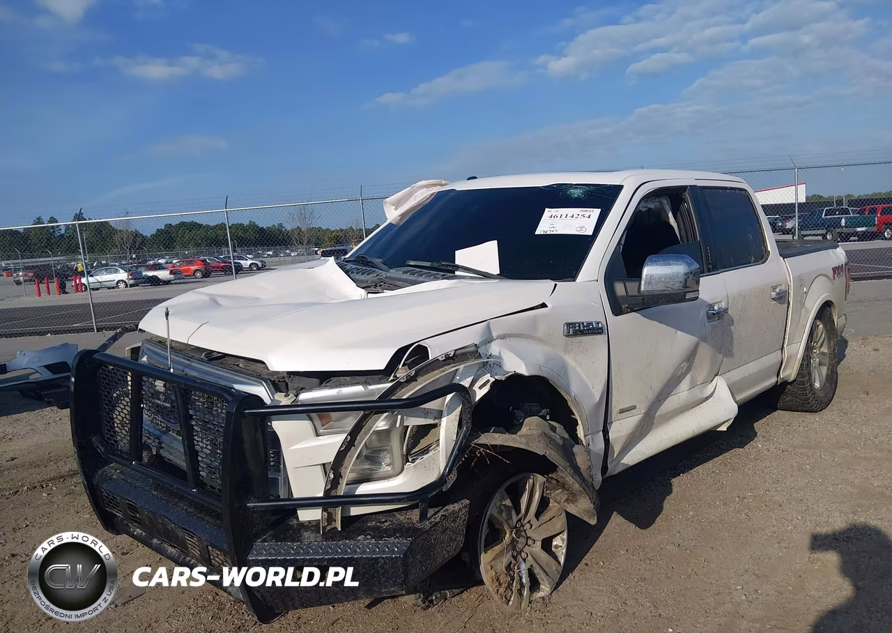 2015 Ford F-150 Platinum VIN:1FTEW1EG5FFC11068 - 6