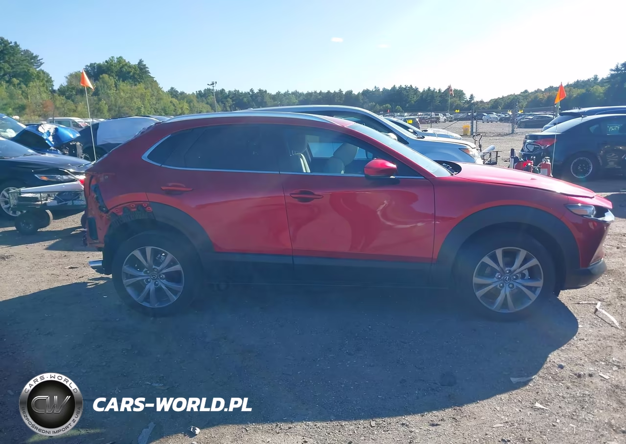 2025 Mazda Cx-30 2.5 S Preferred Package VIN:3MVDMBCM5SM838541 - 14