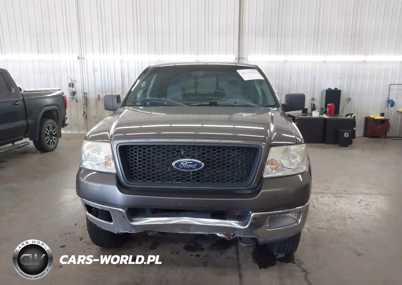 2004 Ford F-150 Fx4-Lariat-Xlt VIN:1FTPW14524KD12310 - 12