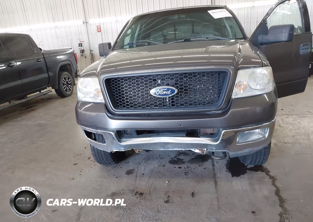 2004 Ford F-150 Fx4-Lariat-Xlt VIN:1FTPW14524KD12310 - 6