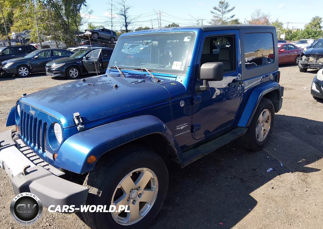 2009 Jeep Wrangler Sahara VIN:1J8FA54159L716890 - 2
