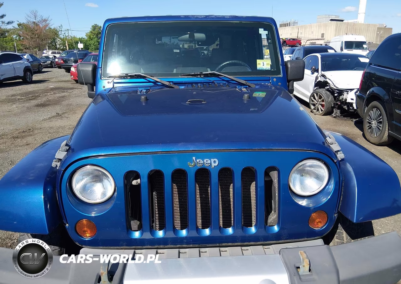 2009 Jeep Wrangler Sahara VIN:1J8FA54159L716890 - 6