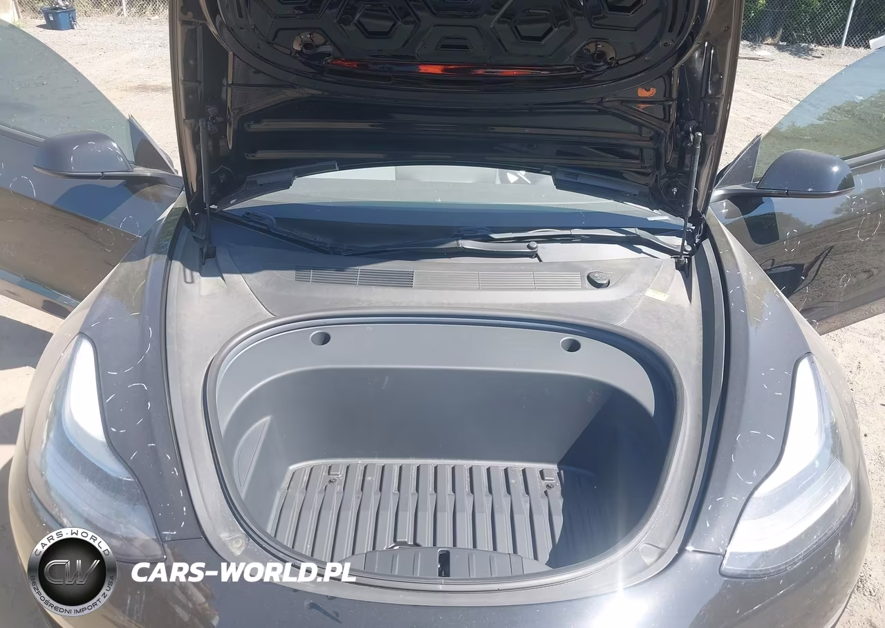 2021 Tesla Model 3 Performance Dual Motor All-Wheel Drive VIN:5YJ3E1ECXMF030167 - 10
