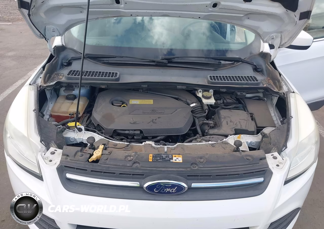 2013 Ford Escape Se VIN:1FMCU0GX1DUA60819 - 10