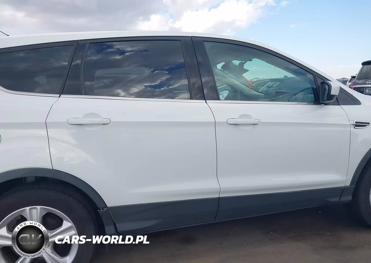 2013 Ford Escape Se VIN:1FMCU0GX1DUA60819 - 13