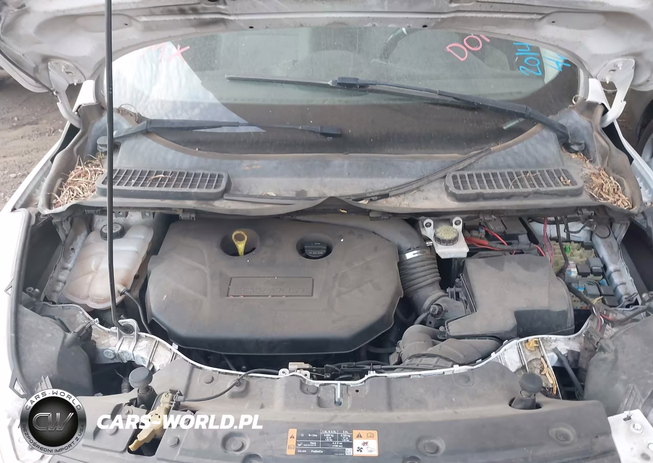 2014 Ford Escape Se VIN:1FMCU0G99EUD01691 - 10
