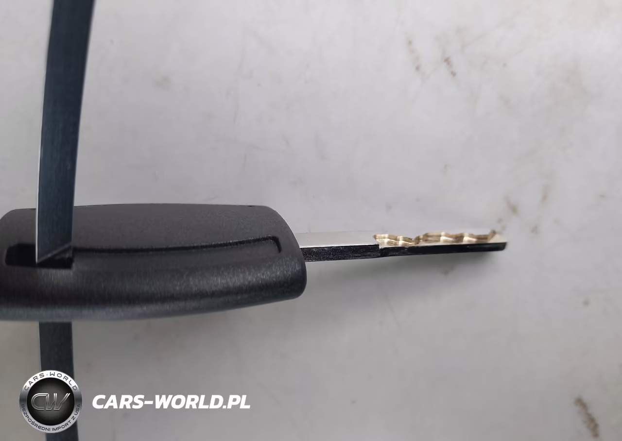 2014 Ford Escape Se VIN:1FMCU0G99EUD01691 - 11