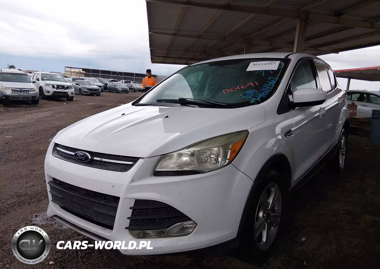 2014 Ford Escape Se VIN:1FMCU0G99EUD01691 - 2