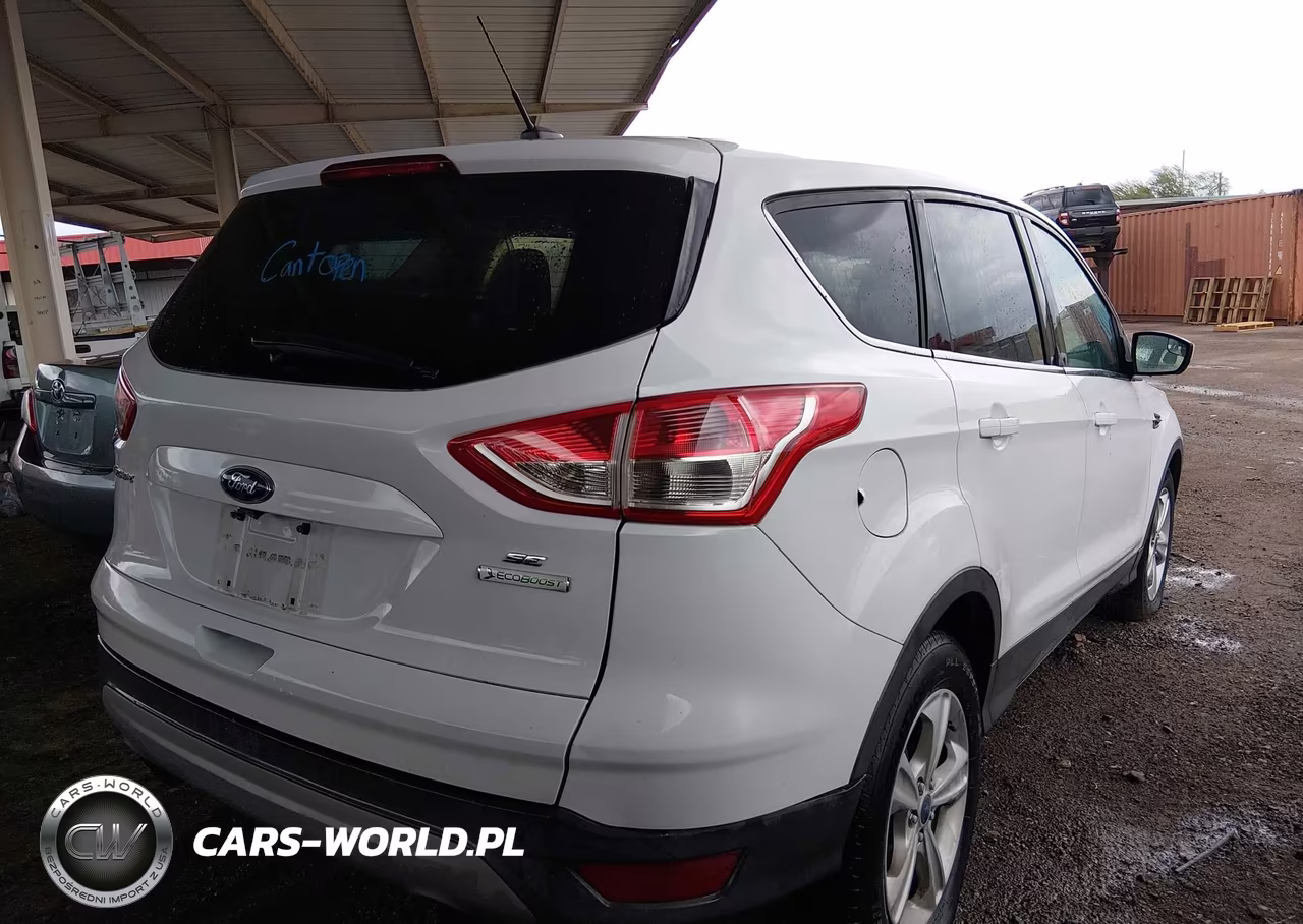 2014 Ford Escape Se VIN:1FMCU0G99EUD01691 - 4