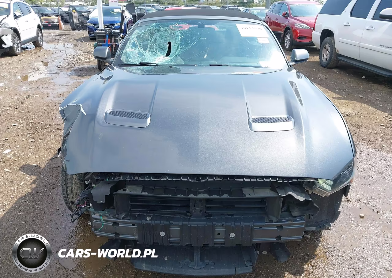 2020 Ford Mustang Ecoboost Premium VIN:1FATP8UH4L5113373 - 13