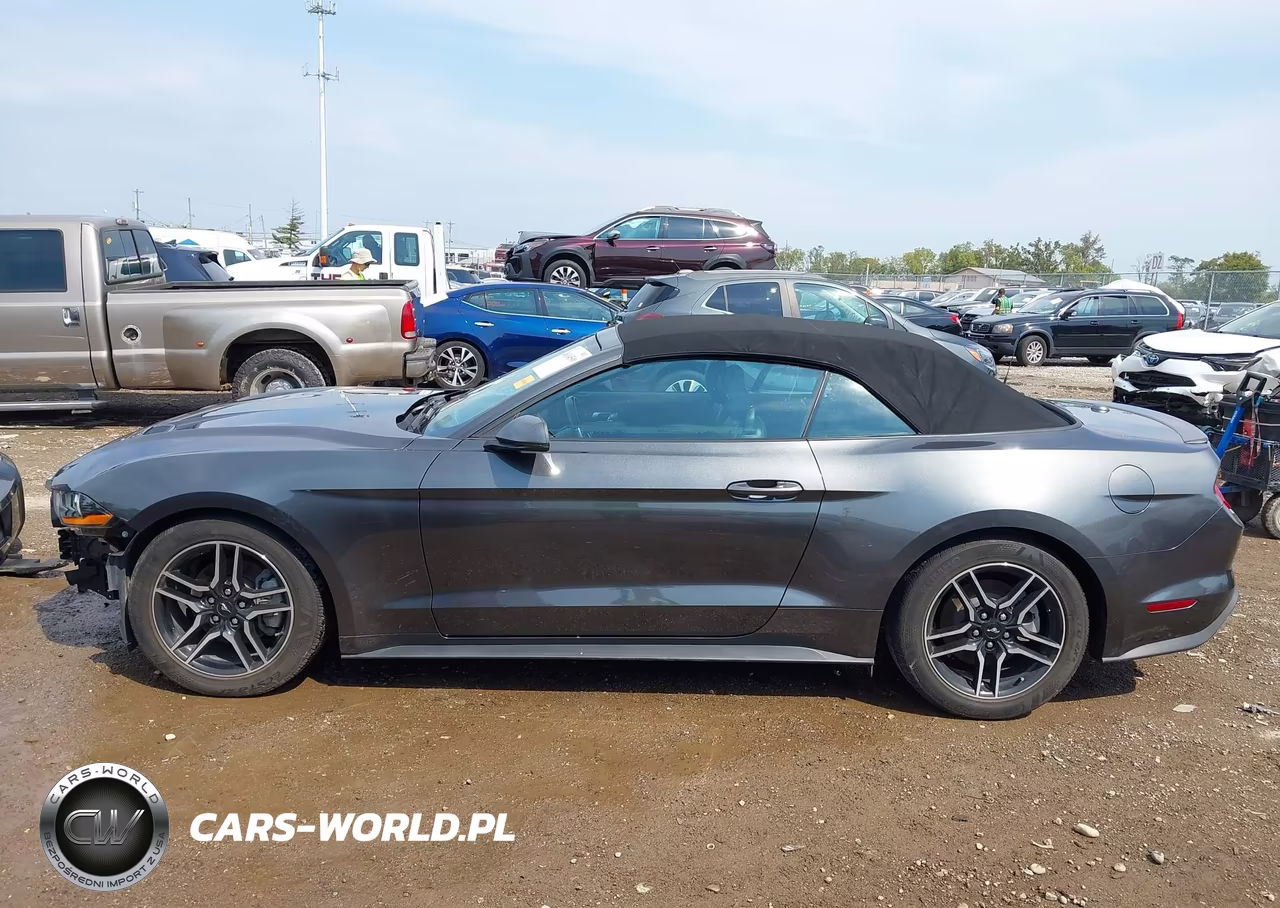 2020 Ford Mustang Ecoboost Premium VIN:1FATP8UH4L5113373 - 15