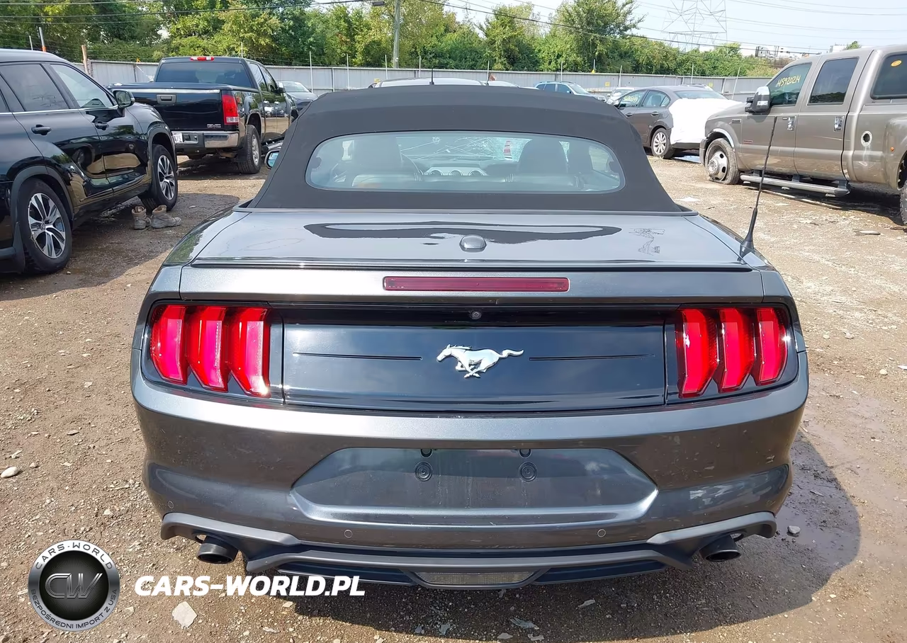 2020 Ford Mustang Ecoboost Premium VIN:1FATP8UH4L5113373 - 17