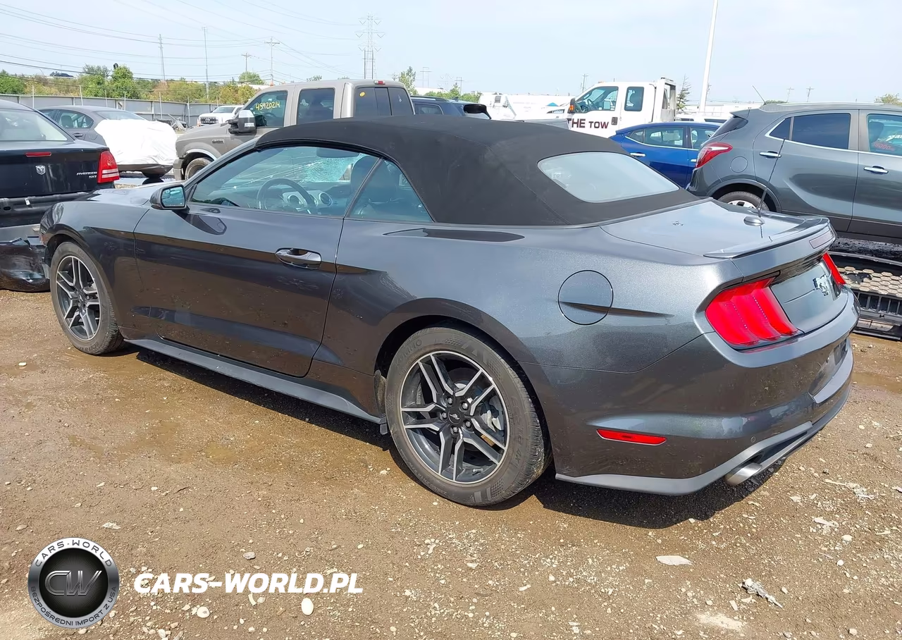 2020 Ford Mustang Ecoboost Premium VIN:1FATP8UH4L5113373 - 3