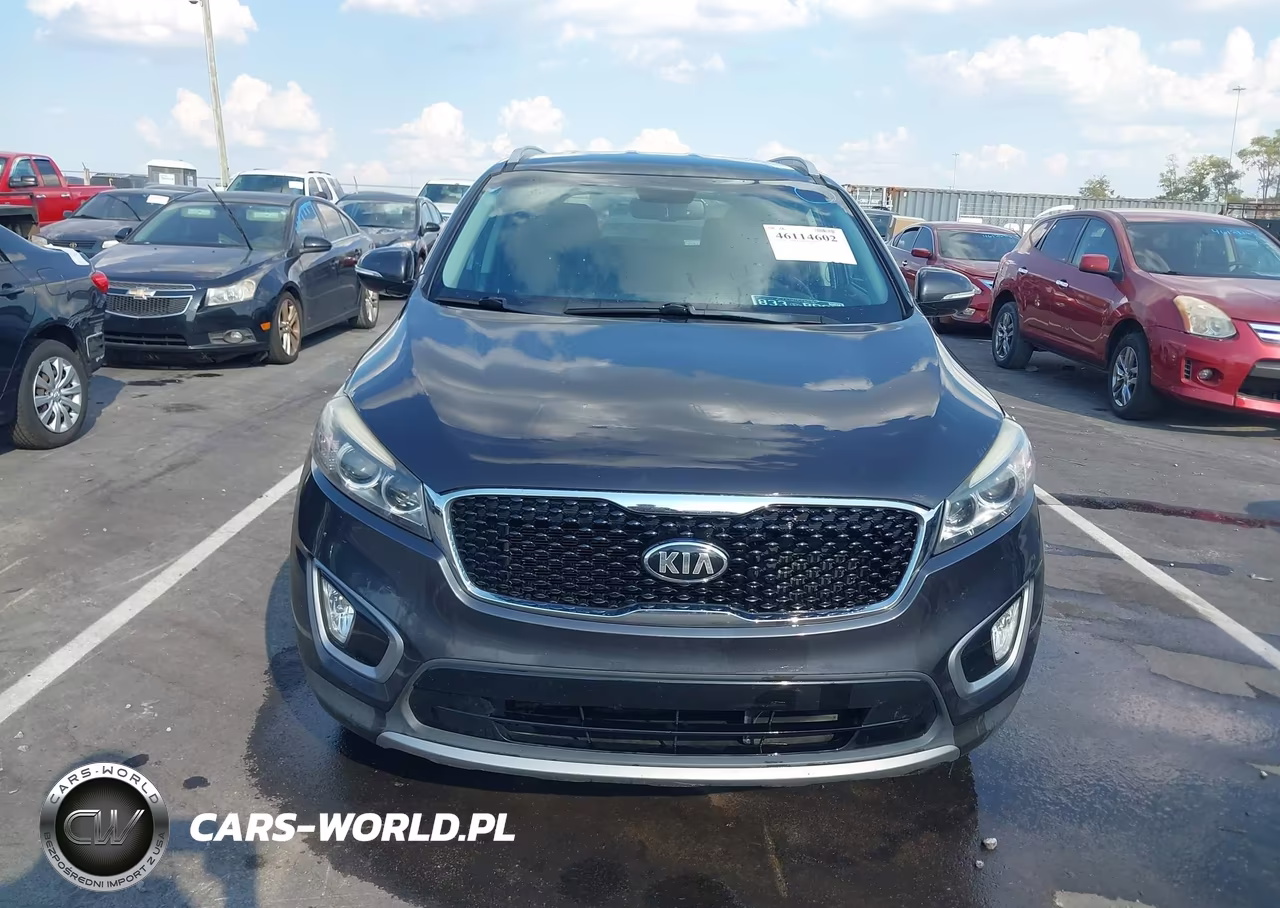 2017 Kia Sorento 2.0T Ex VIN:5XYPH4A14HG183656 - 12
