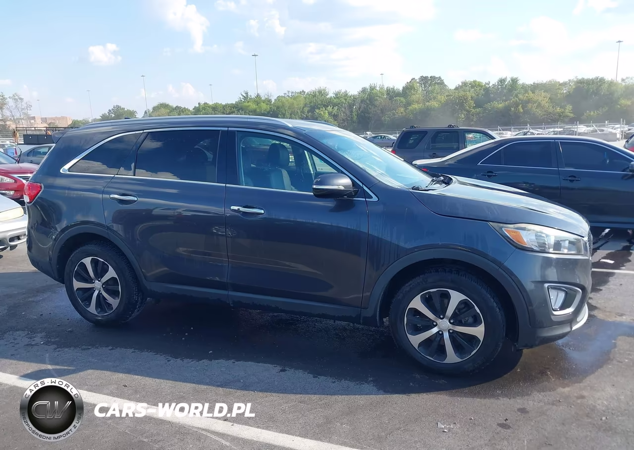 2017 Kia Sorento 2.0T Ex VIN:5XYPH4A14HG183656 - 13