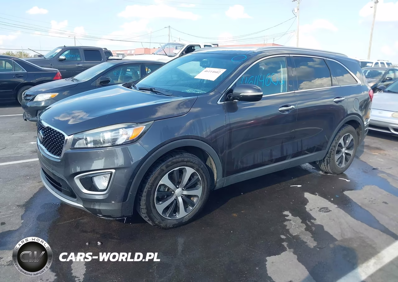 2017 Kia Sorento 2.0T Ex VIN:5XYPH4A14HG183656 - 2