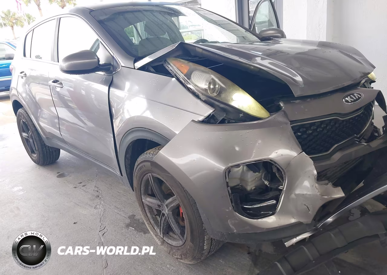 2017 Kia Sportage Lx VIN:KNDPM3AC4H7208401 - 6