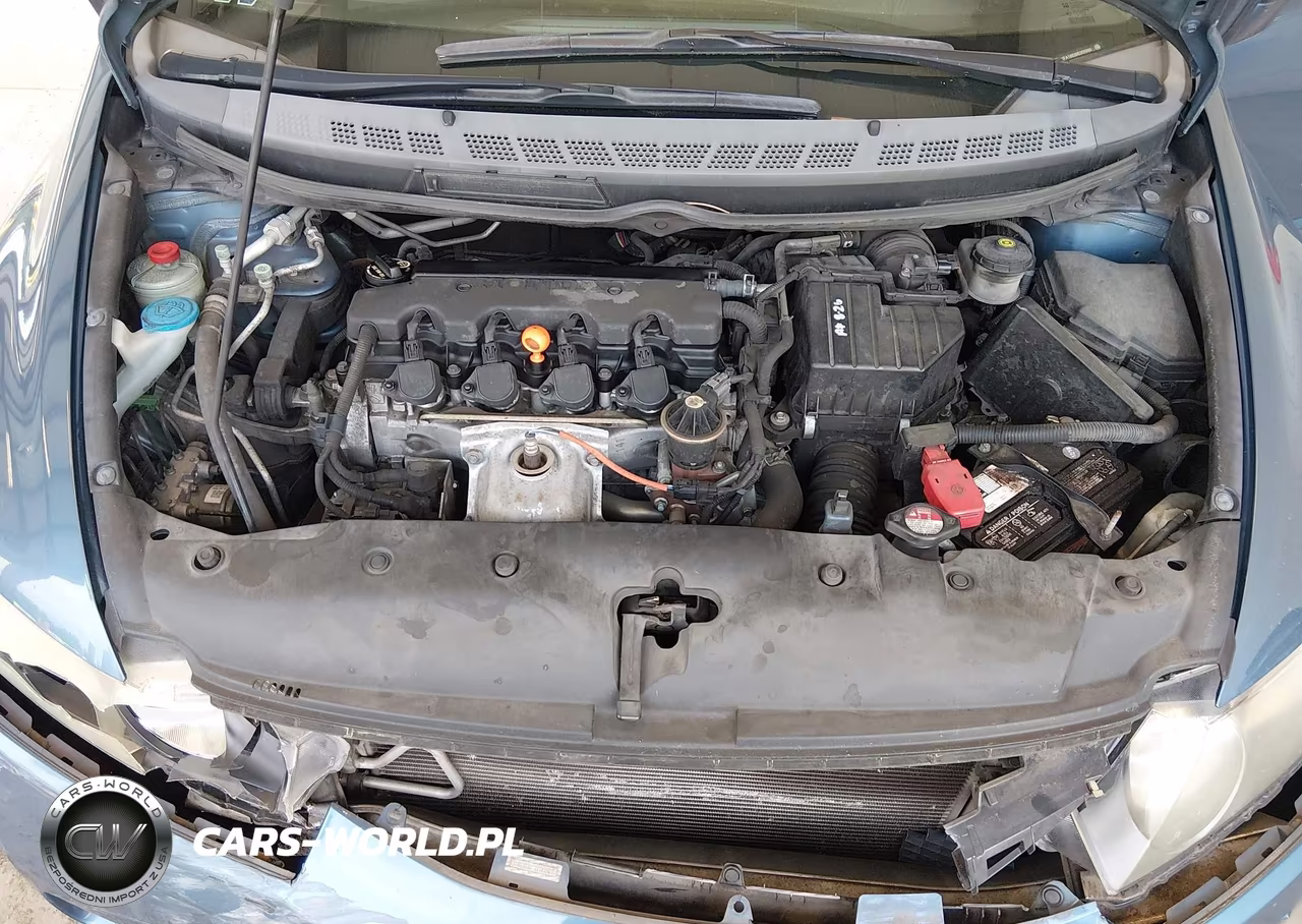 2009 Honda Civic Lx VIN:19XFA16539E005990 - 10