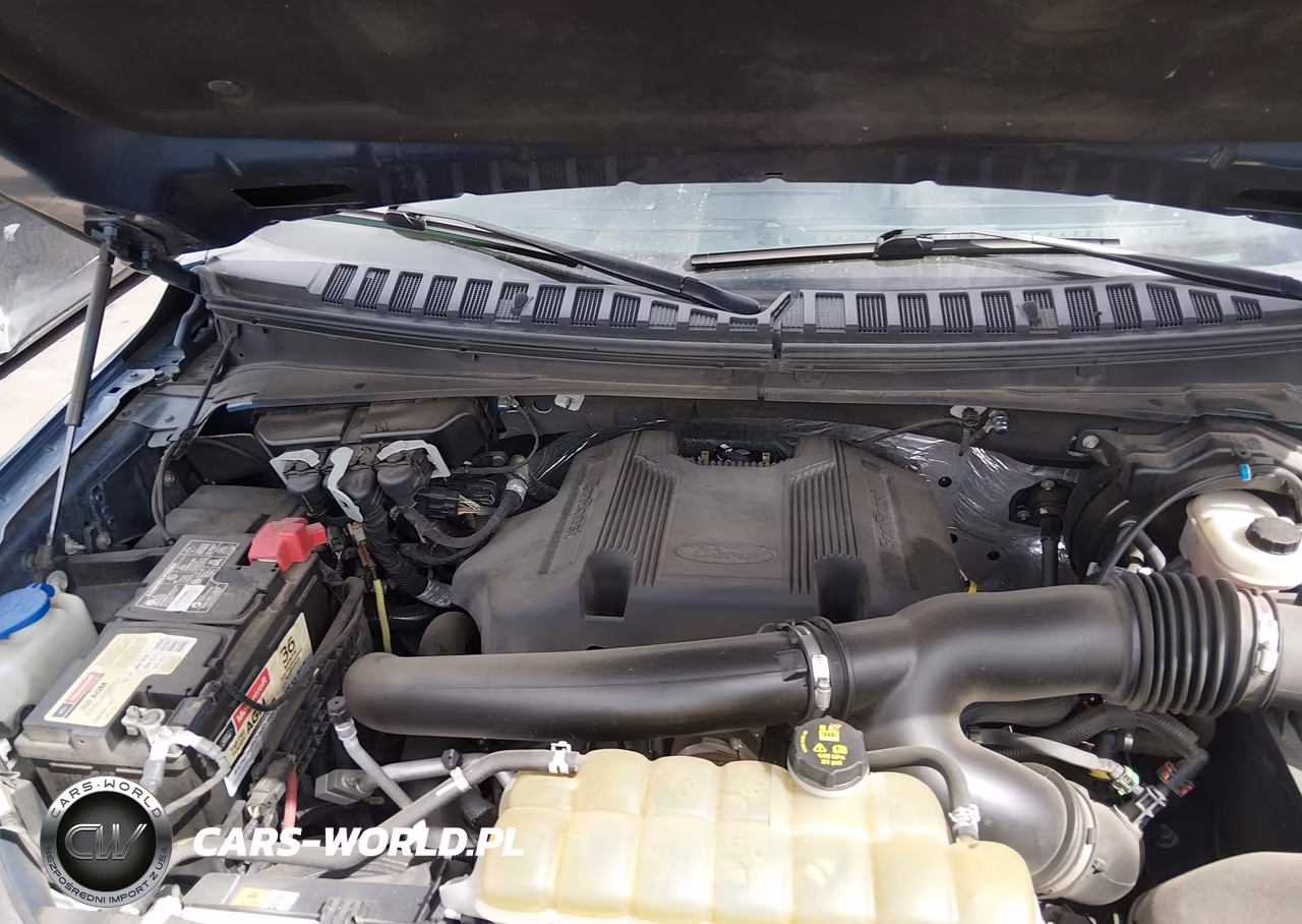 2020 Ford Expedition Limited VIN:1FMJU2AT9LEA99076 - 10
