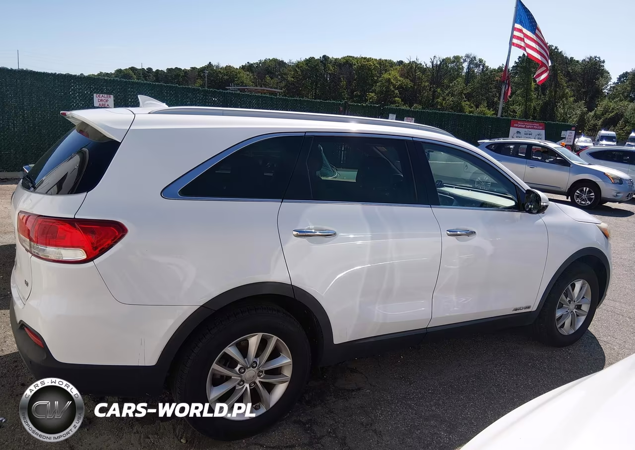 2016 Kia Sorento 3.3L Lx VIN:5XYPGDA59GG072914 - 13