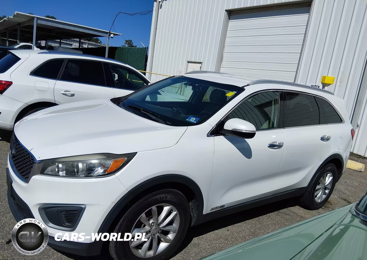 2016 Kia Sorento 3.3L Lx VIN:5XYPGDA59GG072914 - 14