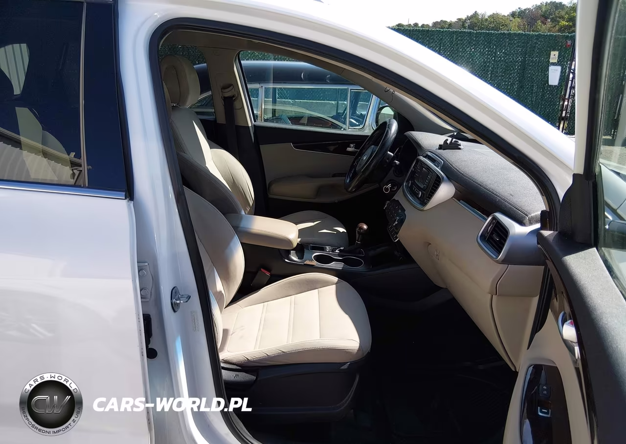 2016 Kia Sorento 3.3L Lx VIN:5XYPGDA59GG072914 - 5