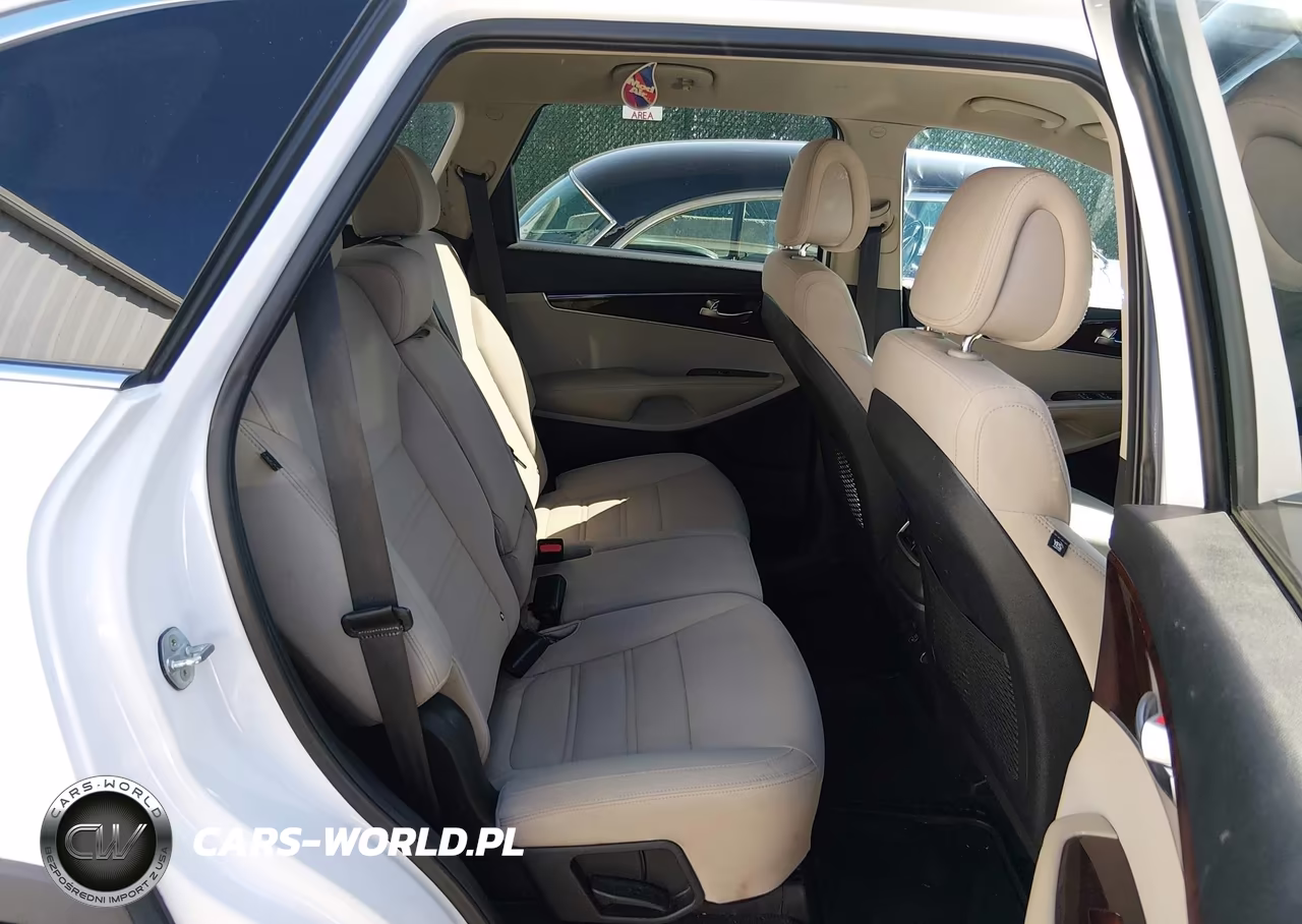 2016 Kia Sorento 3.3L Lx VIN:5XYPGDA59GG072914 - 8