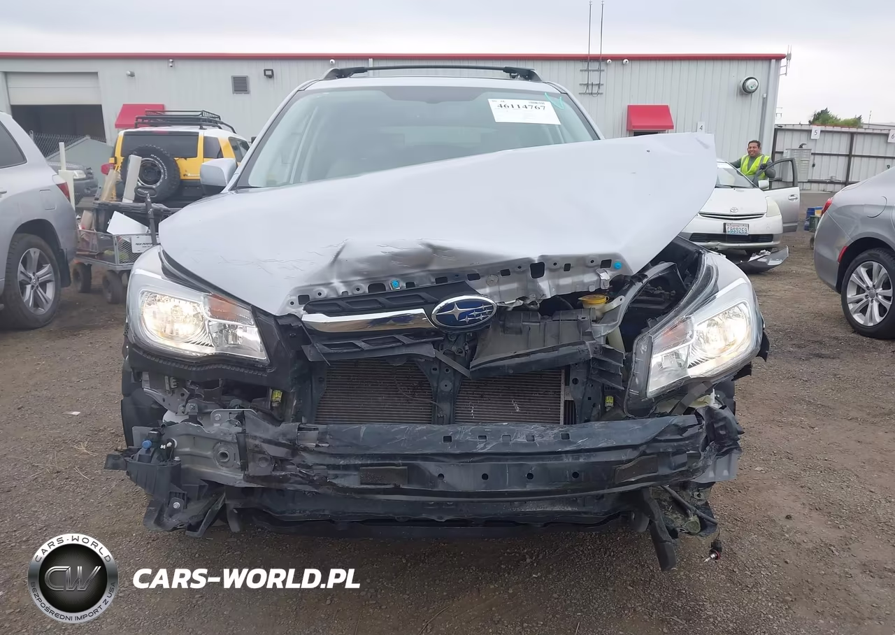 2017 Subaru Forester 2.5I Limited VIN:JF2SJAJC6HH518469 - 13