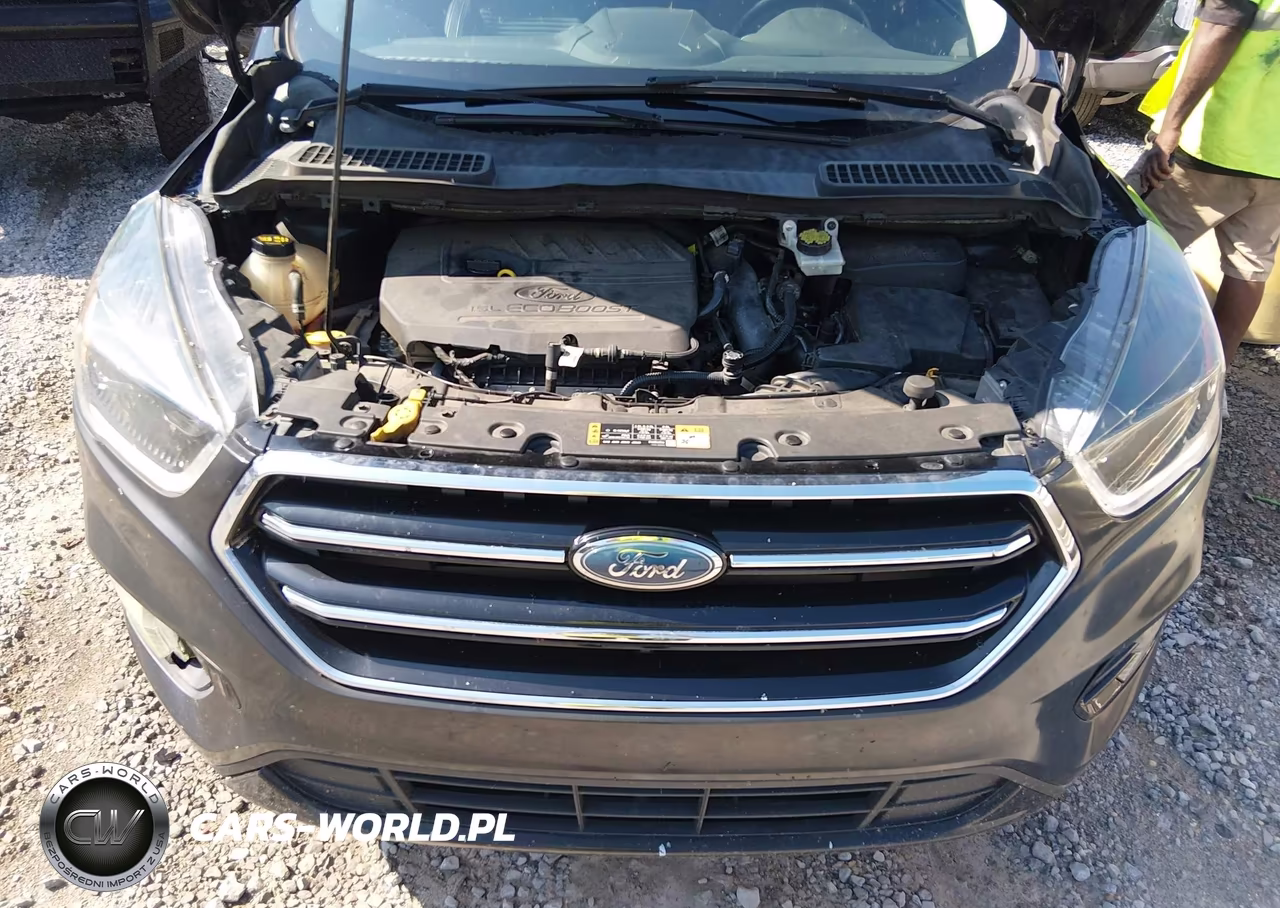 2017 Ford Escape Se VIN:1FMCU0GD4HUA75844 - 10