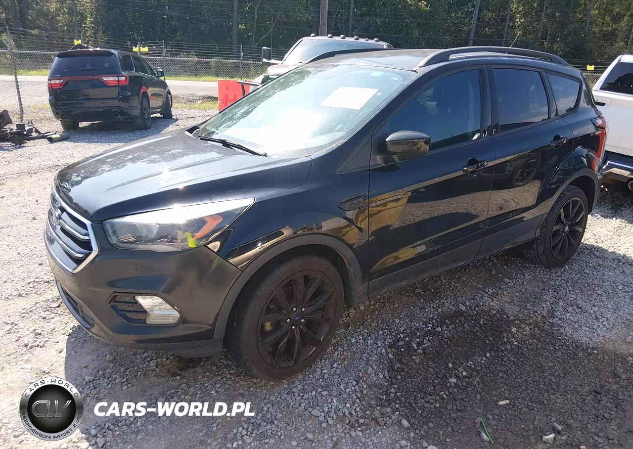 2017 Ford Escape Se VIN:1FMCU0GD4HUA75844 - 2