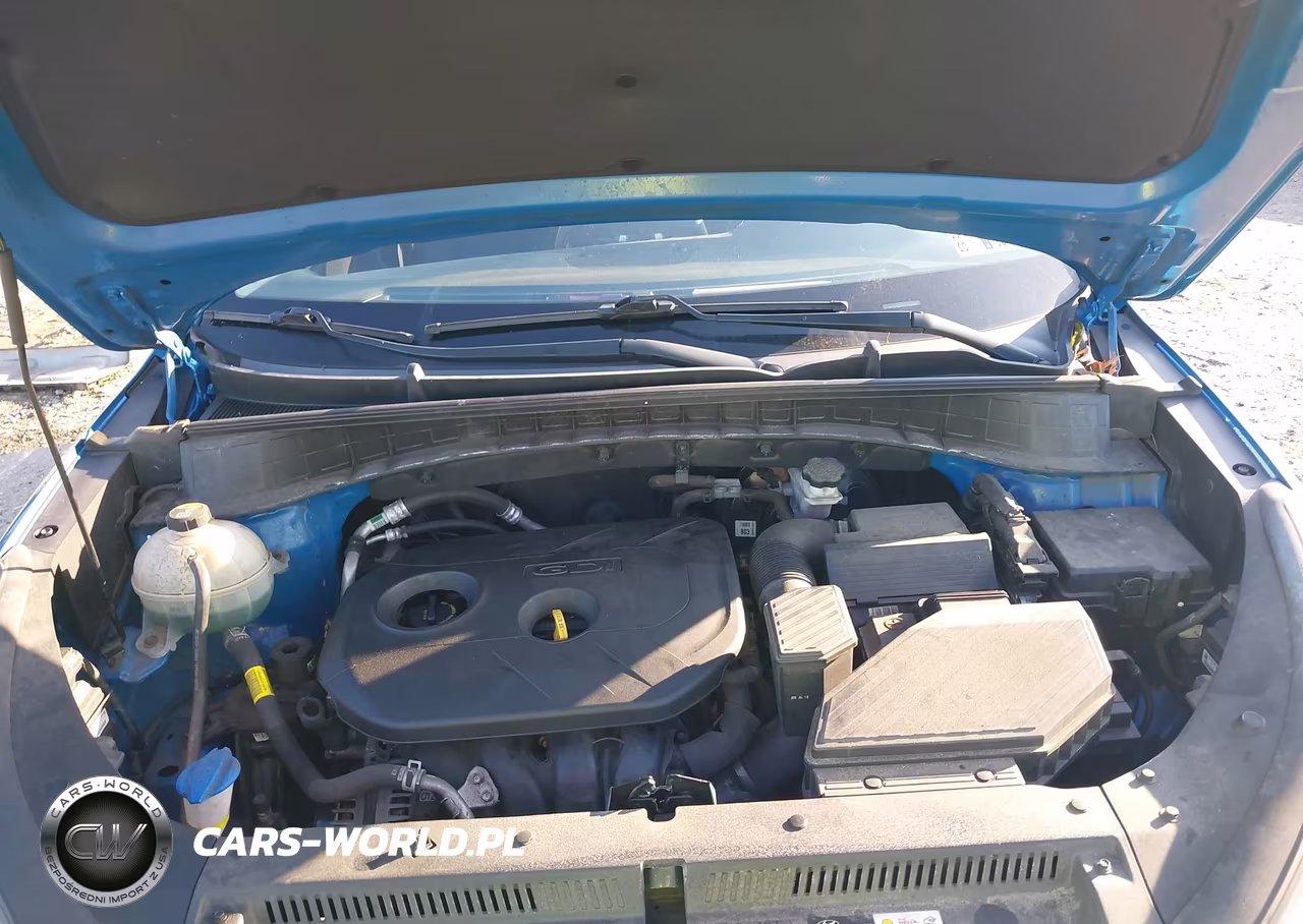 2019 Hyundai Tucson Value VIN:KM8J3CA49KU014419 - 10