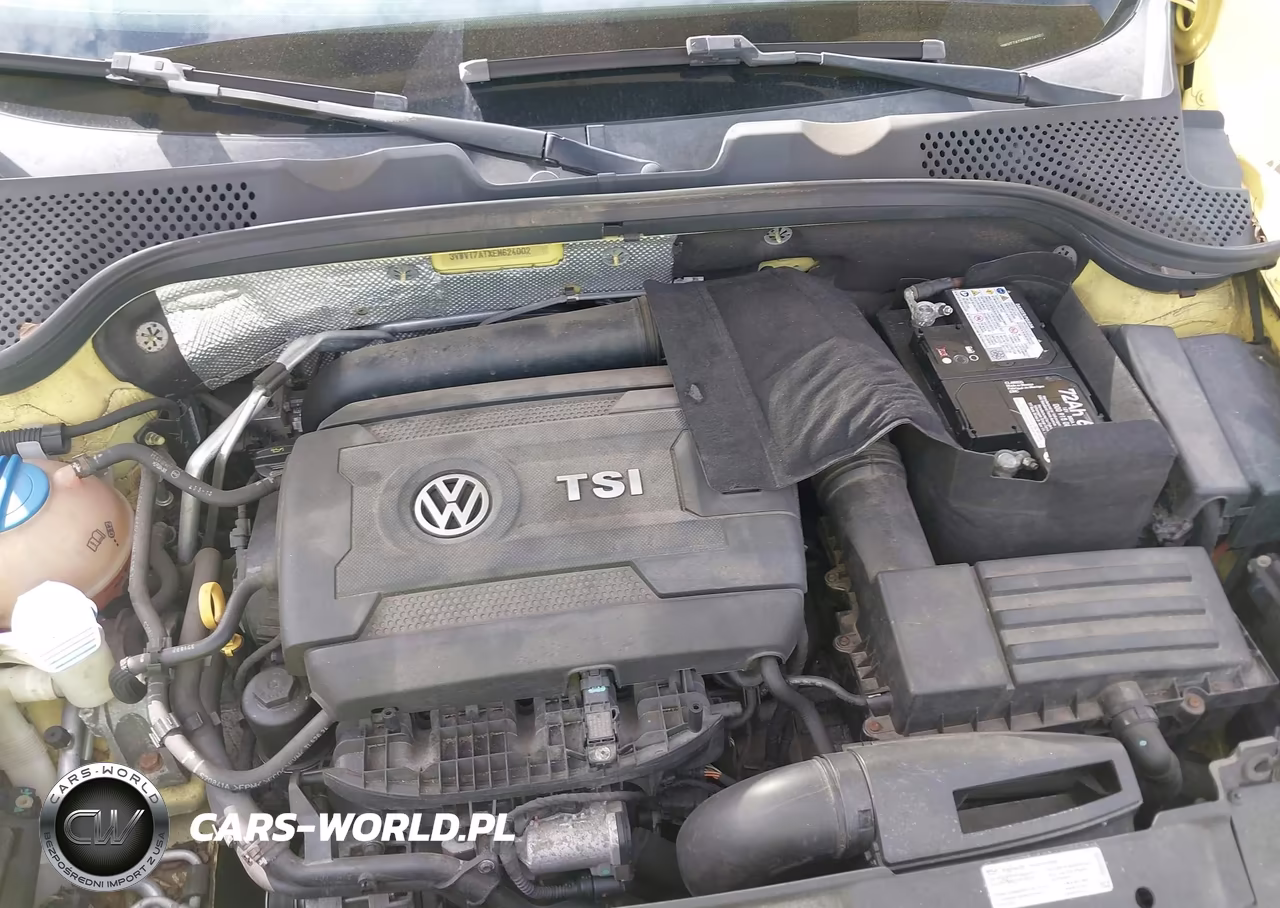 2014 Volkswagen Beetle 2.0T Gsr VIN:3VWVT7ATXEM624002 - 10