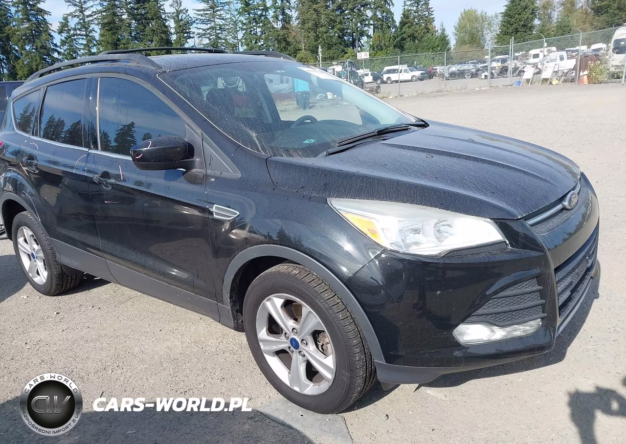 2013 Ford Escape Se VIN:1FMCU0G90DUD23593 - 1