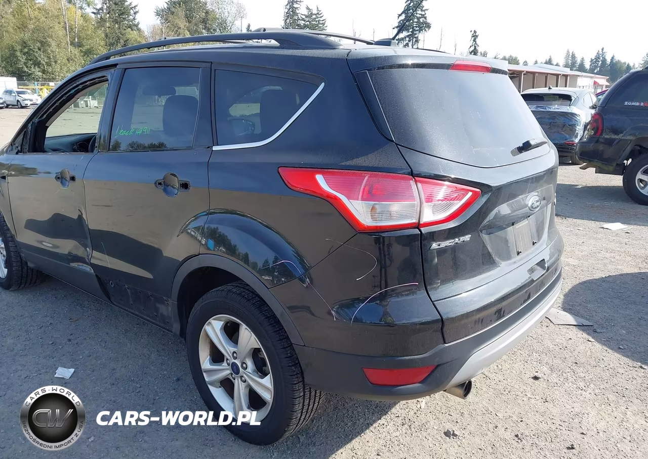 2013 Ford Escape Se VIN:1FMCU0G90DUD23593 - 13
