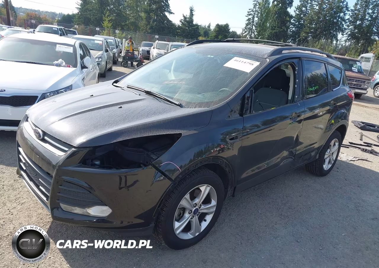 2013 Ford Escape Se VIN:1FMCU0G90DUD23593 - 2