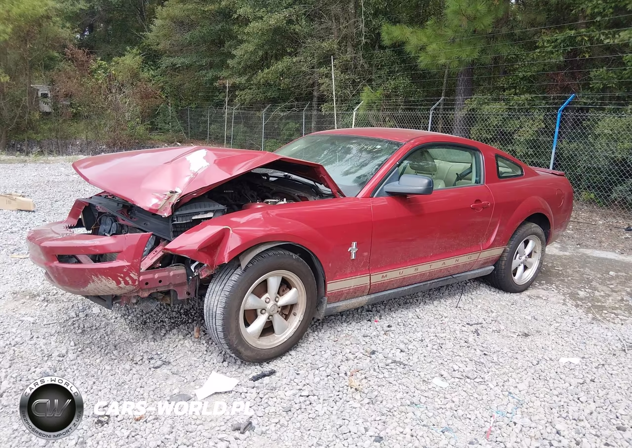 2008 Ford Mustang V6 Deluxe-V6 Premium VIN:1ZVHT80N085194965 - 2