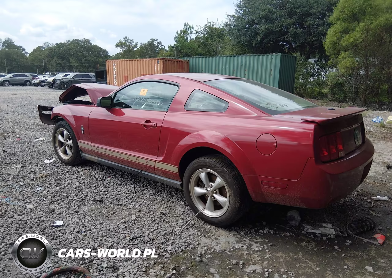 2008 Ford Mustang V6 Deluxe-V6 Premium VIN:1ZVHT80N085194965 - 3