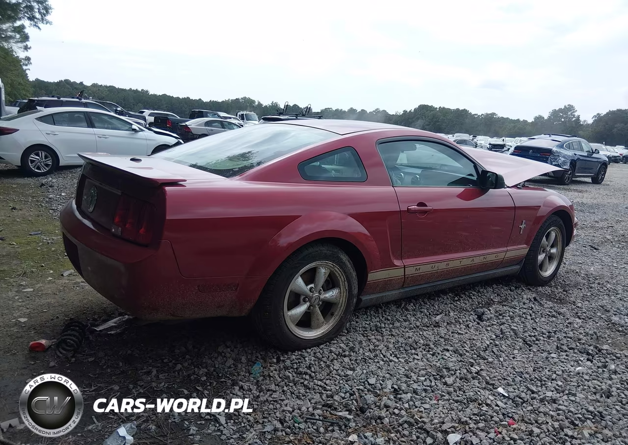 2008 Ford Mustang V6 Deluxe-V6 Premium VIN:1ZVHT80N085194965 - 4