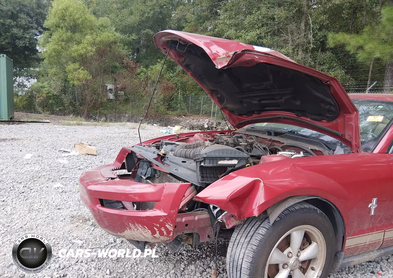 2008 Ford Mustang V6 Deluxe-V6 Premium VIN:1ZVHT80N085194965 - 6