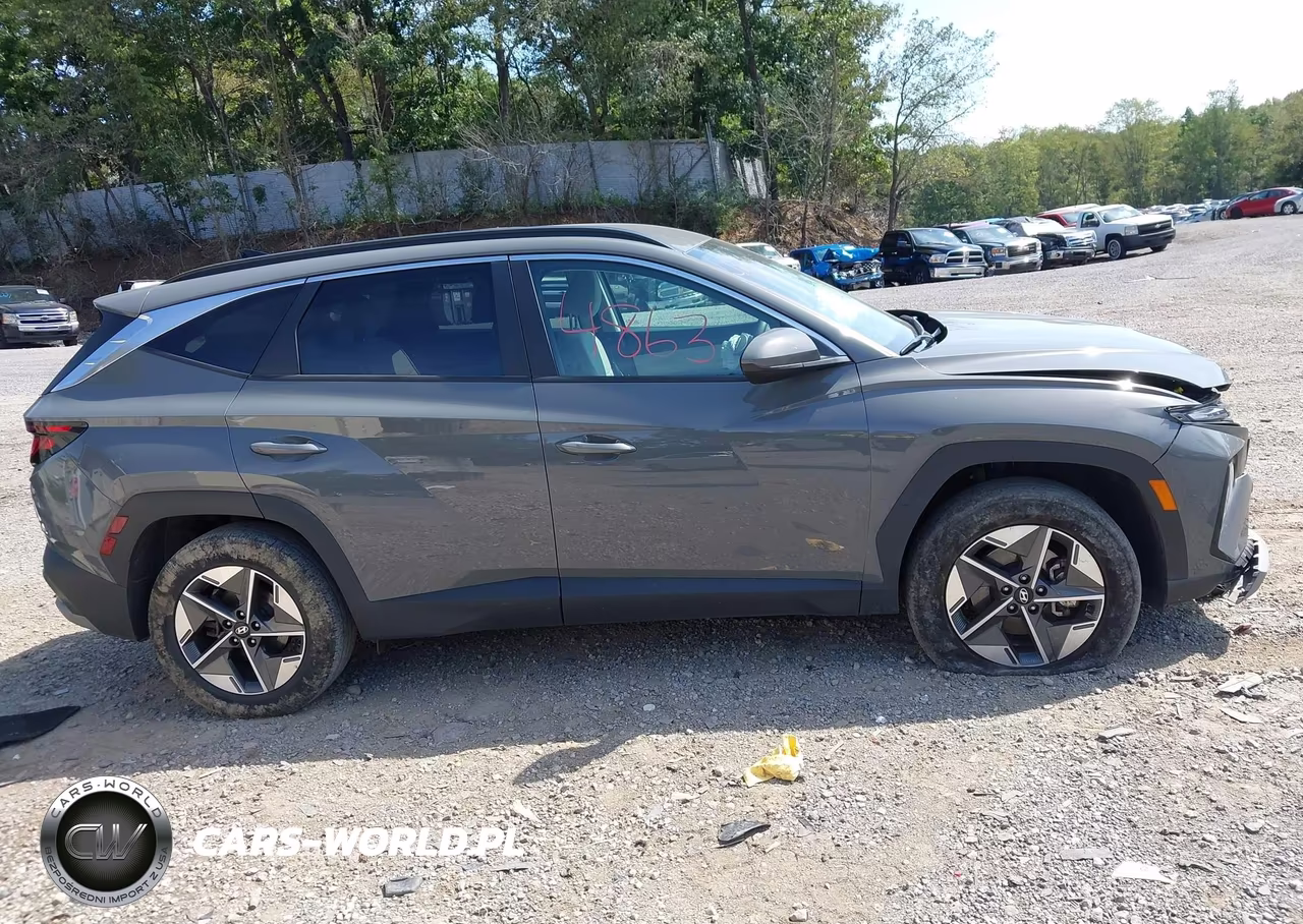 2025 Hyundai Tucson Sel VIN:5NMJBCDE5SH441597 - 13
