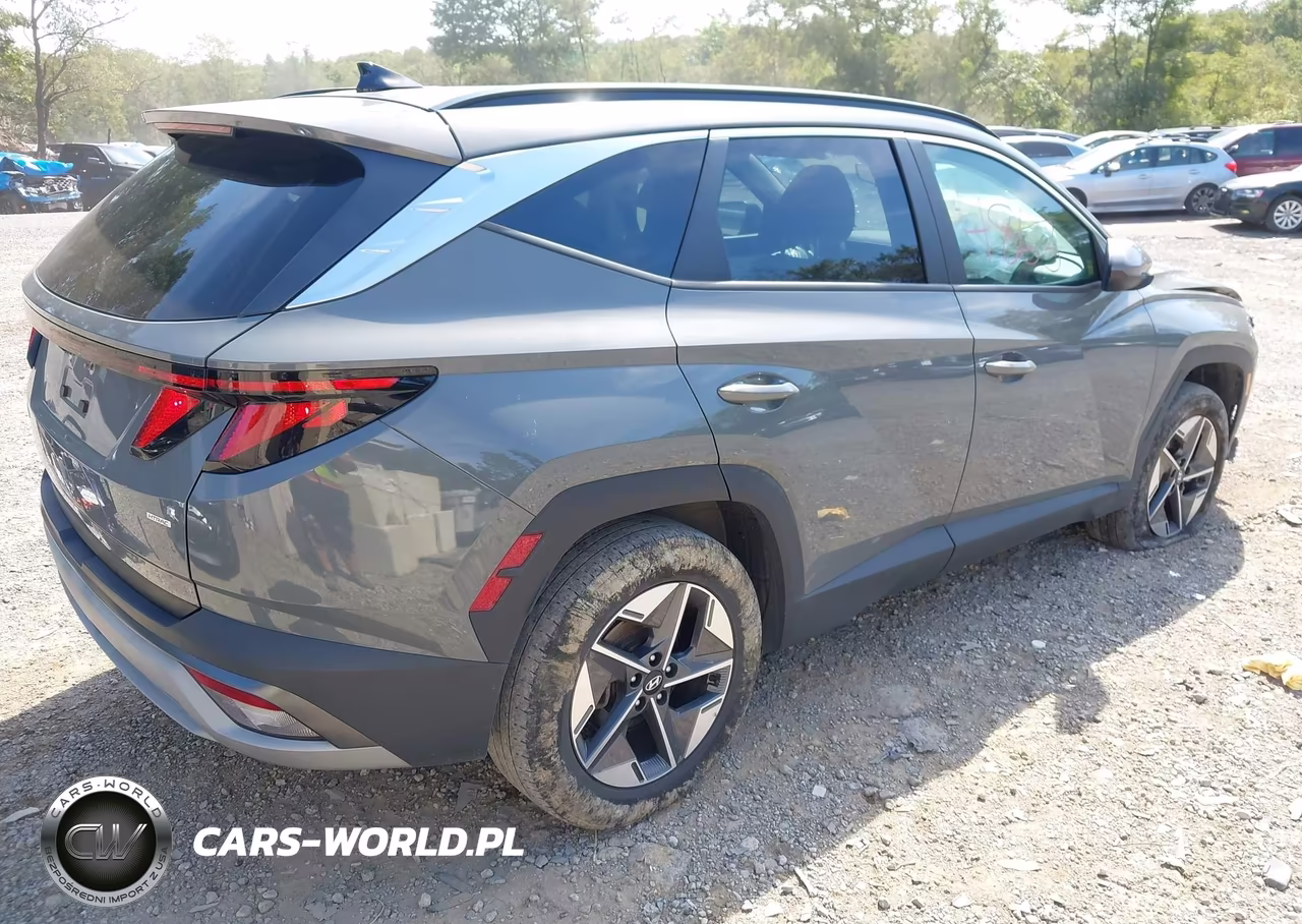 2025 Hyundai Tucson Sel VIN:5NMJBCDE5SH441597 - 4