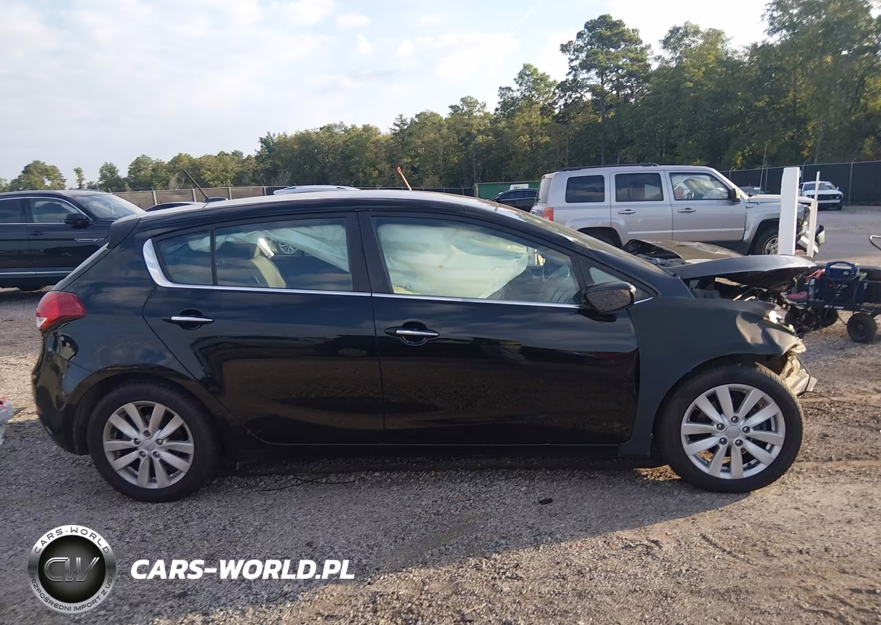 2015 Kia Forte Ex VIN:KNAFX5A86F5264887 - 12